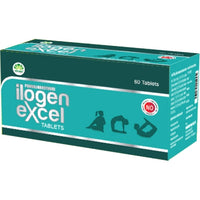 Pankajakasthuri Ilogen Excel 60Tablets -  Pankajakasthuri - Medizzo.com